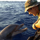 Illustration for article titled Pentagon To Replace Mine-Clearing Dolphins With Robots